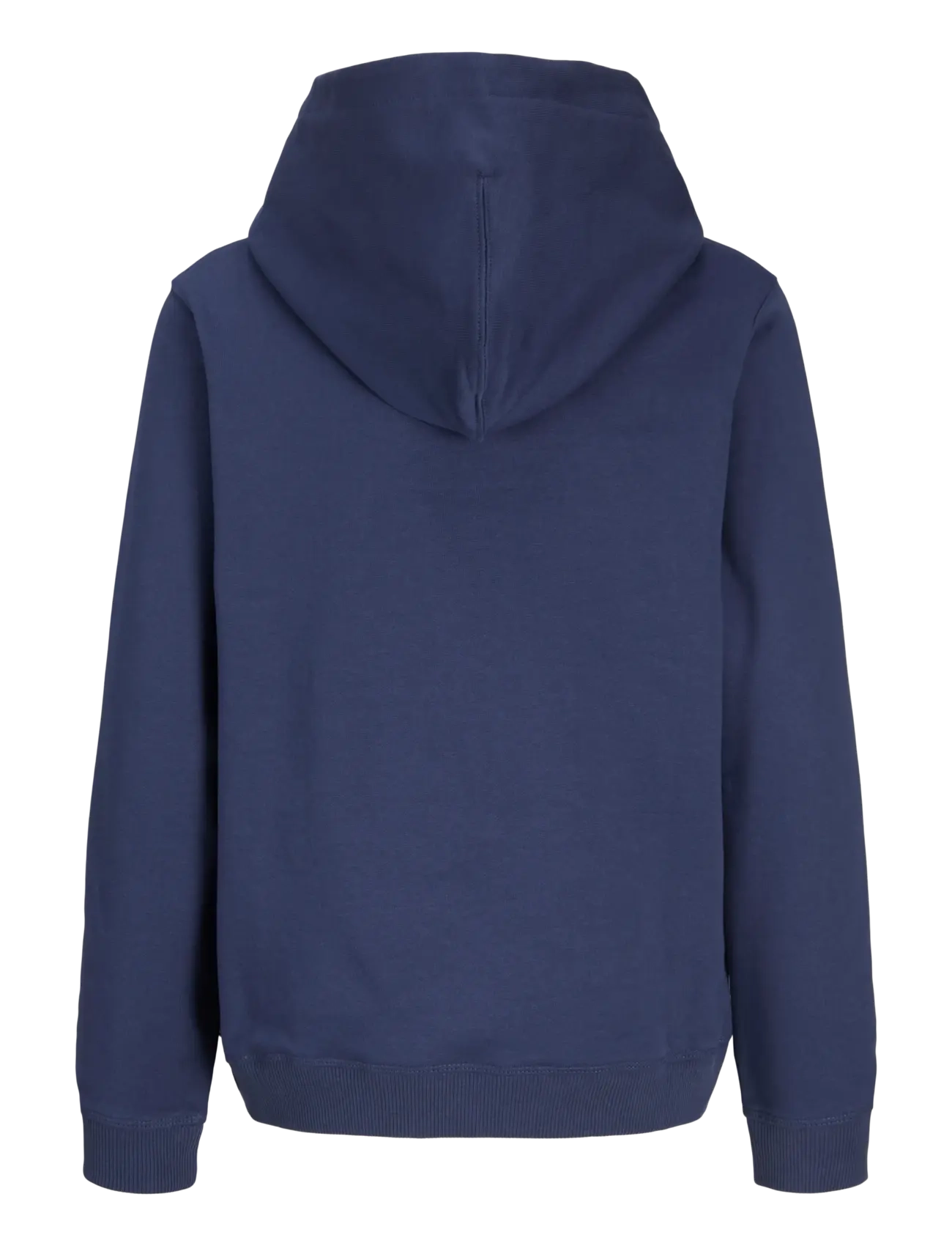 Jack & Jones - JORNORREBRO EMB SWEAT HOOD NOOS JNR - kapuzenpullover - crown blue - 2