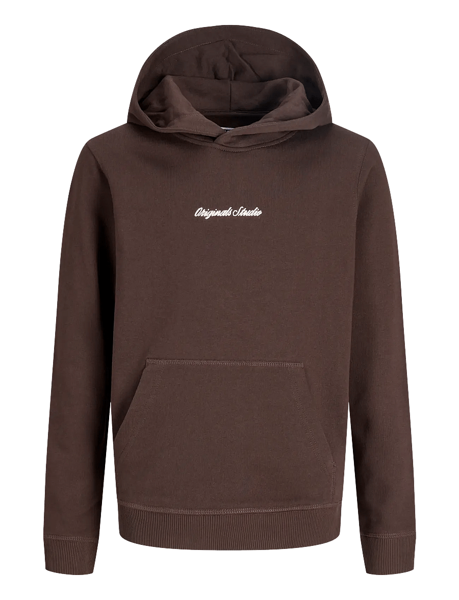 Jack & Jones - JORNORREBRO EMB SWEAT HOOD NOOS JNR - kapuzenpullover - java - 1