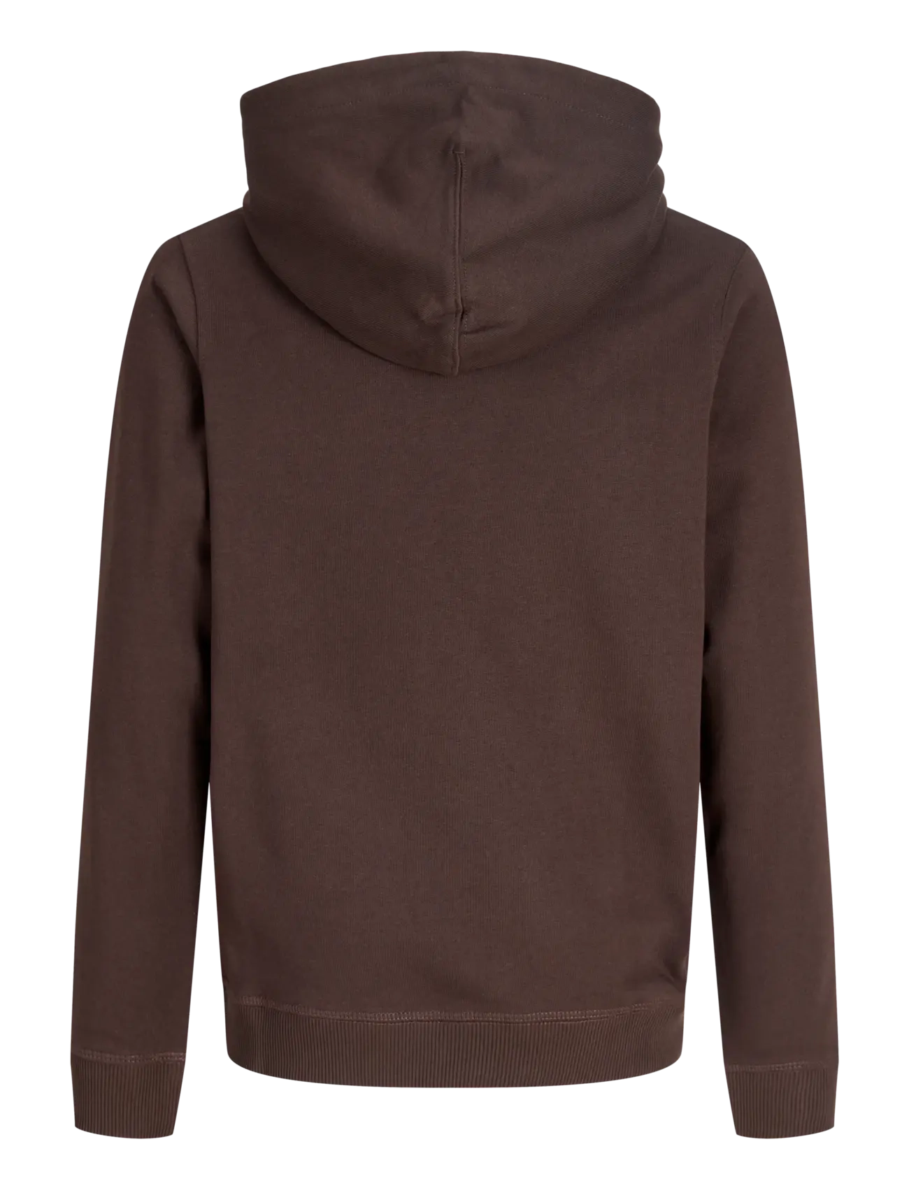 Jack & Jones - JORNORREBRO EMB SWEAT HOOD NOOS JNR - kapuzenpullover - java - 2