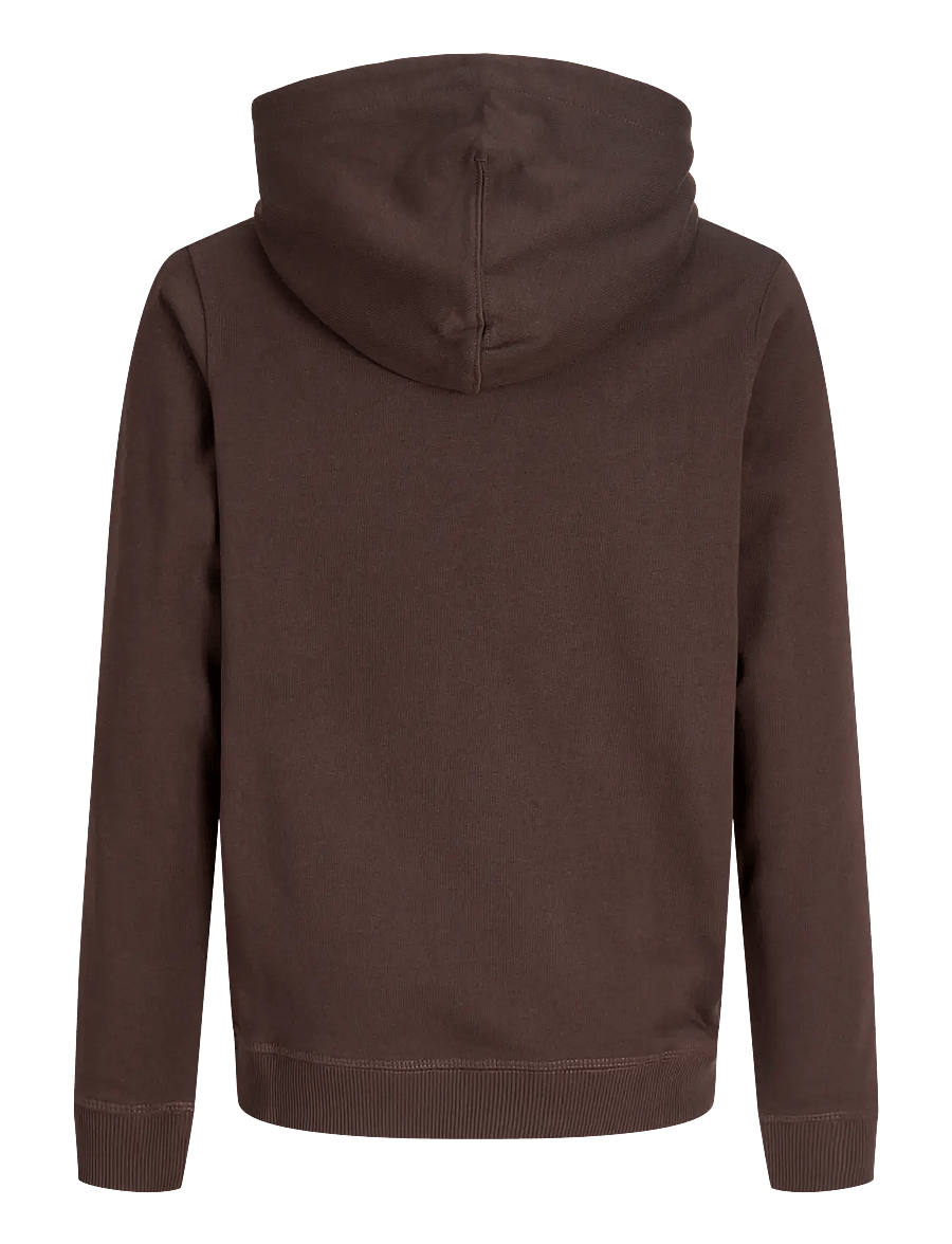Jack & Jones - JORNORREBRO EMB SWEAT HOOD NOOS JNR - kapuzenpullover - java - 2