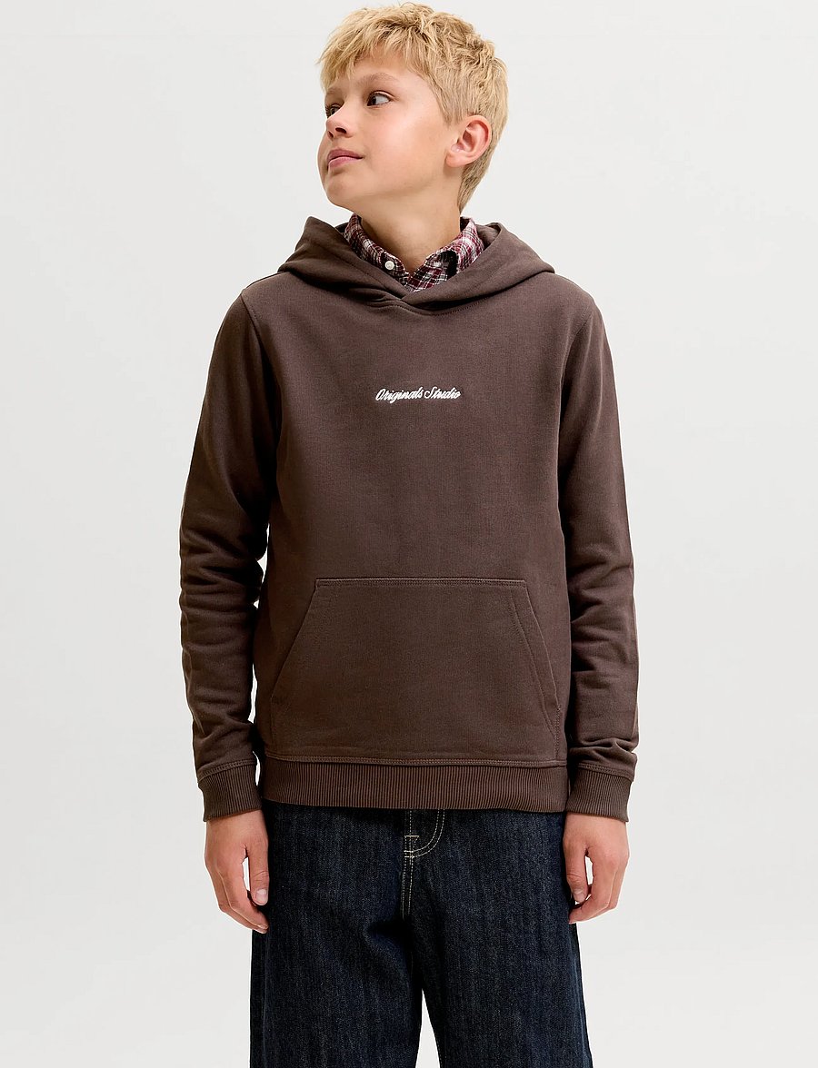 Jack & Jones - JORNORREBRO EMB SWEAT HOOD NOOS JNR - kapuzenpullover - java - 0