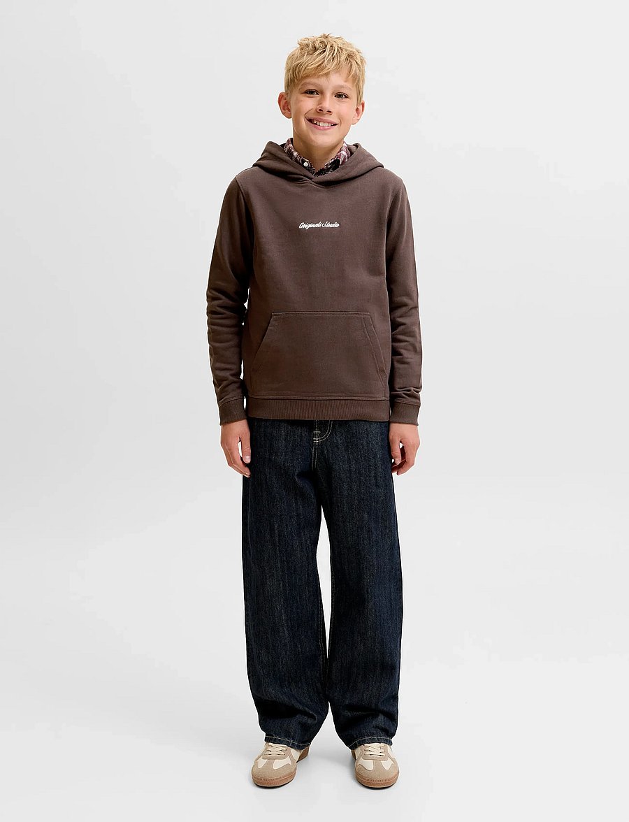 Jack & Jones - JORNORREBRO EMB SWEAT HOOD NOOS JNR - kapuzenpullover - java - 4