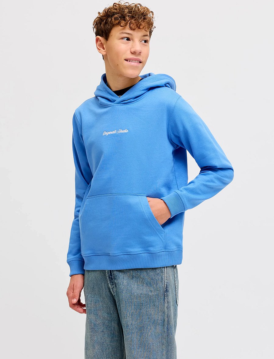Jack & Jones - JORNORREBRO EMB SWEAT HOOD NOOS JNR - hættetrøjer - marina - 0