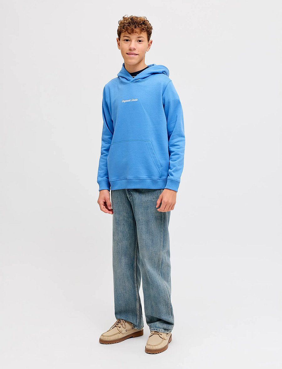 Jack & Jones - JORNORREBRO EMB SWEAT HOOD NOOS JNR - hættetrøjer - marina - 3