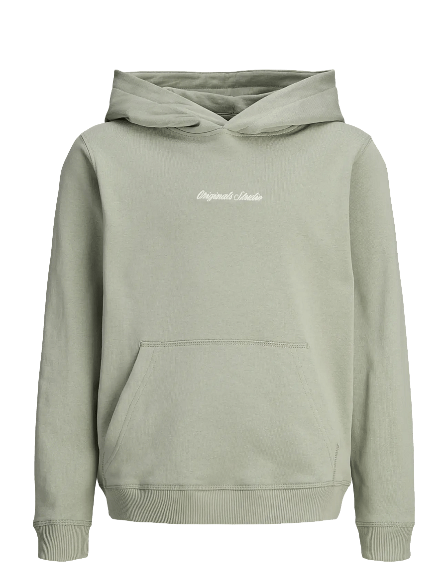 Jack & Jones - JORNORREBRO EMB SWEAT HOOD NOOS JNR - kapuzenpullover - seagrass - 1