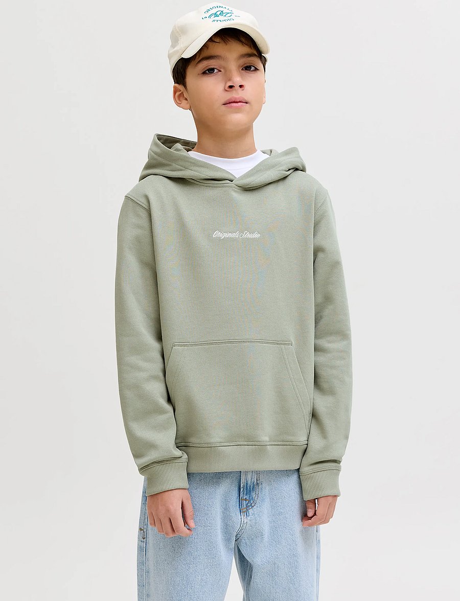 Jack & Jones - JORNORREBRO EMB SWEAT HOOD NOOS JNR - kapuzenpullover - seagrass - 0