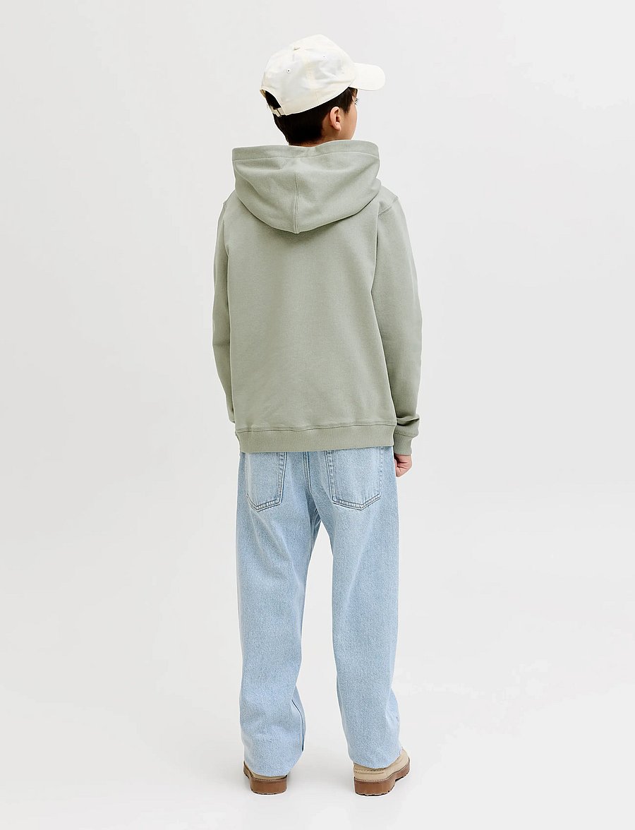 Jack & Jones - JORNORREBRO EMB SWEAT HOOD NOOS JNR - kapuzenpullover - seagrass - 2