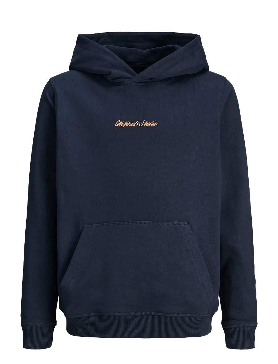 Jack & Jones - JORNORREBRO EMB SWEAT HOOD NOOS JNR - kapuzenpullover - sky captain - 1