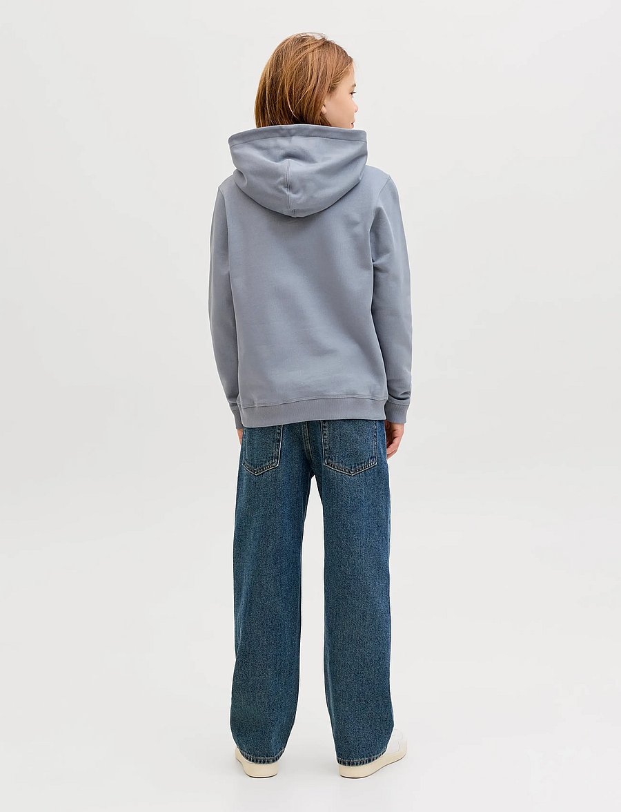 Jack & Jones - JORNORREBRO EMB SWEAT HOOD NOOS JNR - kapuzenpullover - tradewinds - 2