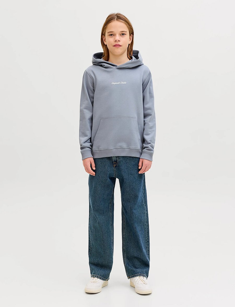 Jack & Jones - JORNORREBRO EMB SWEAT HOOD NOOS JNR - kapuzenpullover - tradewinds - 3