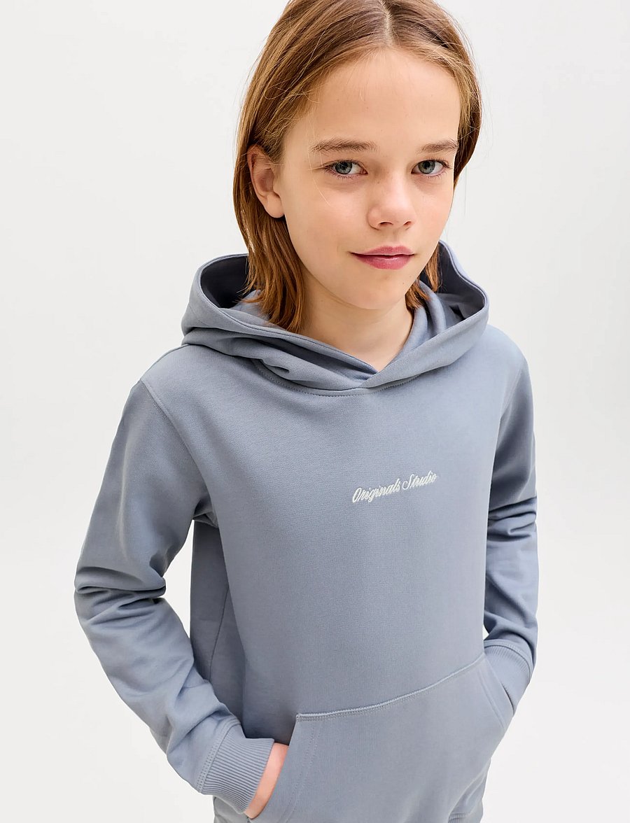 Jack & Jones - JORNORREBRO EMB SWEAT HOOD NOOS JNR - kapuzenpullover - tradewinds - 5