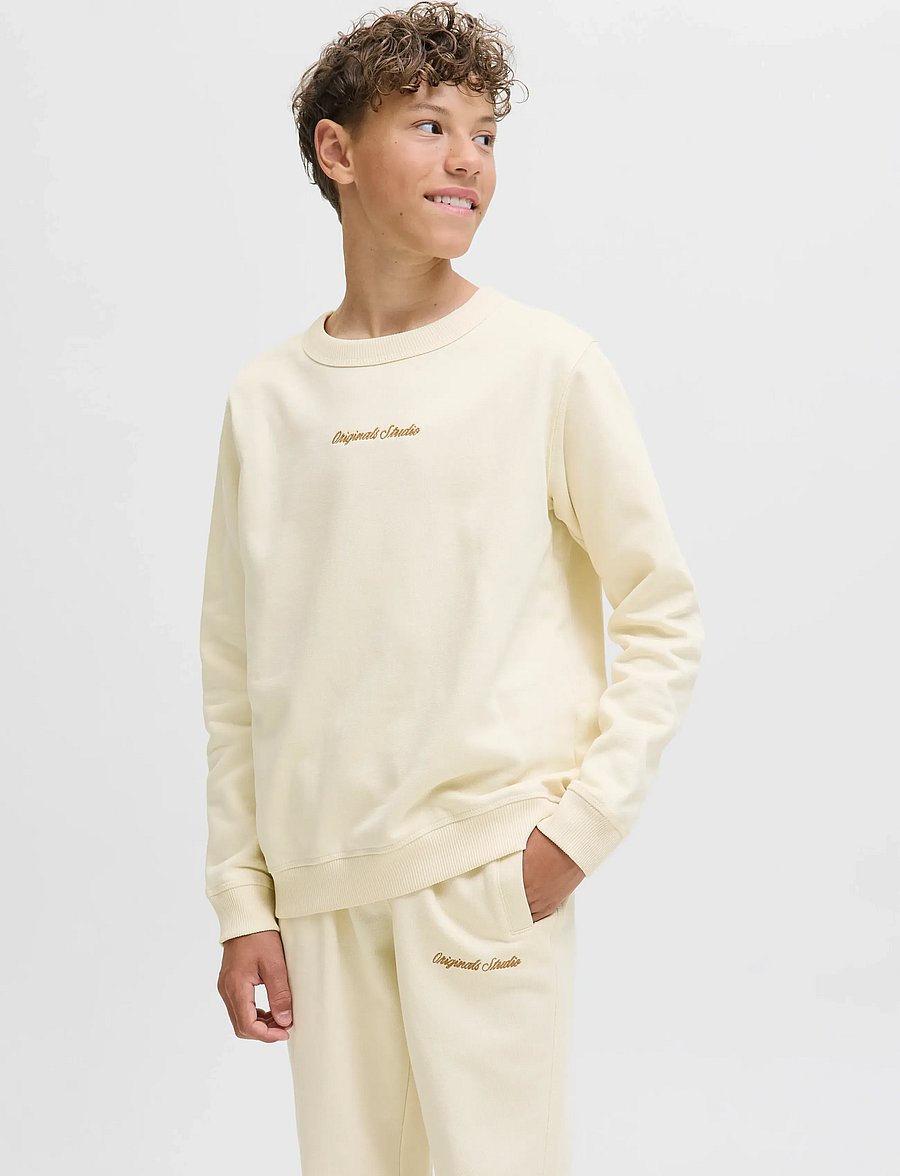 Jack & Jones - JORNORREBRO EMB SWEAT CREW NOOS JNR - sweatshirts - antique white - 0