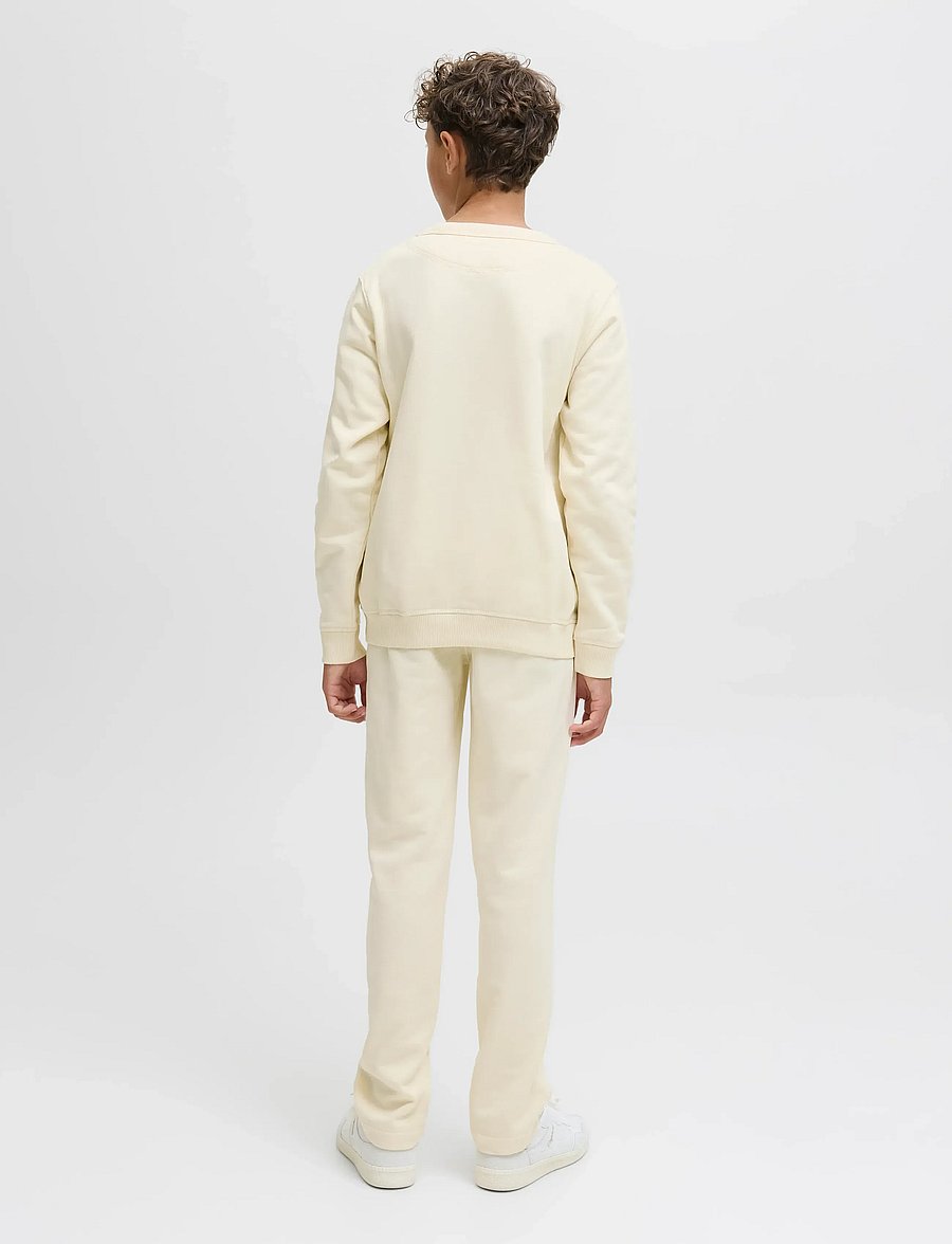 Jack & Jones - JORNORREBRO EMB SWEAT CREW NOOS JNR - sweatshirts - antique white - 2