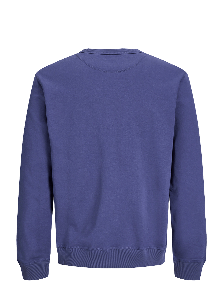 Jack & Jones - JORNORREBRO EMB SWEAT CREW NOOS JNR - sweatshirts - crown blue - 1