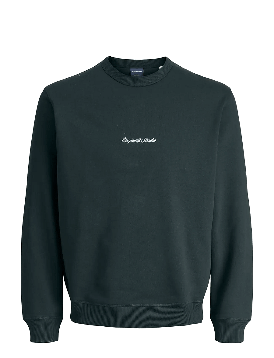 Jack & Jones - JORNORREBRO EMB SWEAT CREW NOOS JNR - sweatshirts - forest river - 1