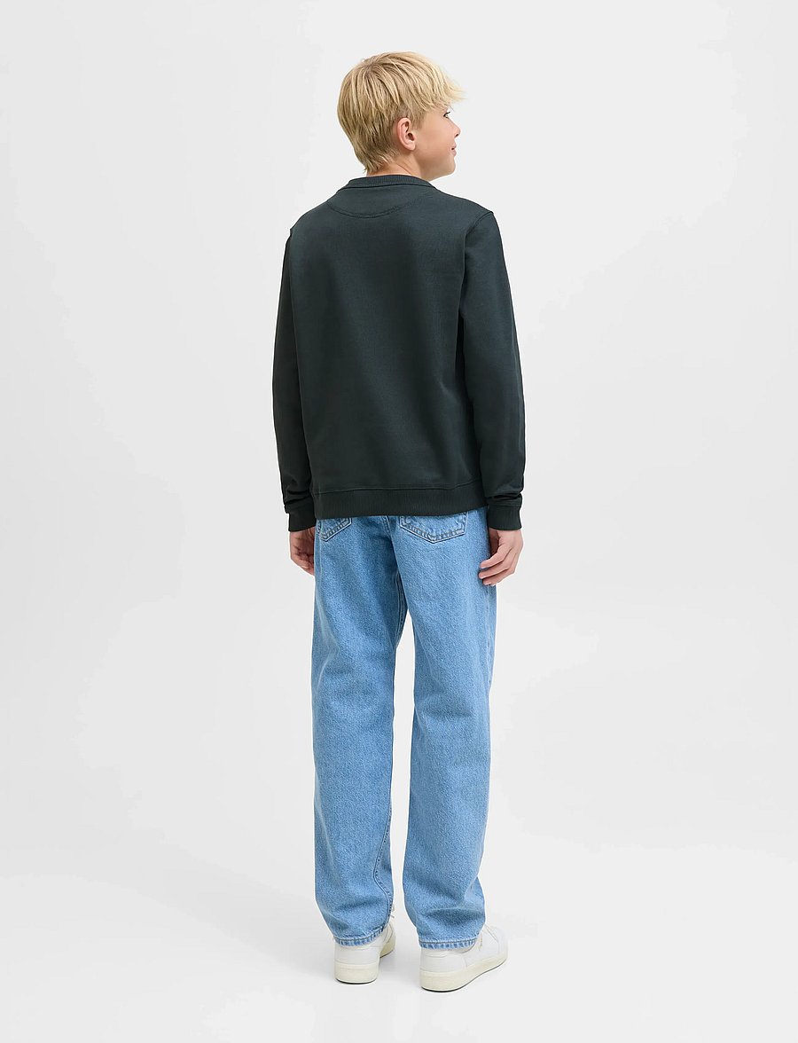 Jack & Jones - JORNORREBRO EMB SWEAT CREW NOOS JNR - sweatshirts - forest river - 2