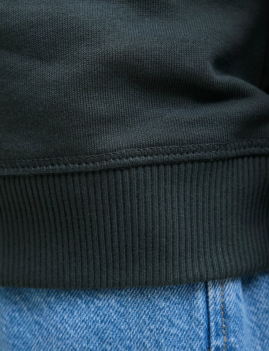 Jack & Jones - JORNORREBRO EMB SWEAT CREW NOOS JNR - sweatshirts - forest river - 3