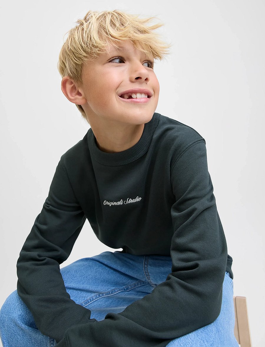 Jack & Jones - JORNORREBRO EMB SWEAT CREW NOOS JNR - sweatshirts - forest river - 4