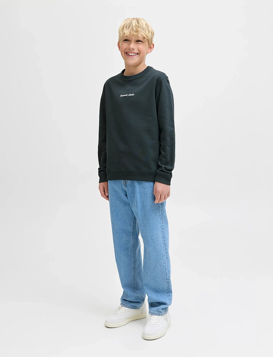 Jack & Jones - JORNORREBRO EMB SWEAT CREW NOOS JNR - sweatshirts - forest river - 5