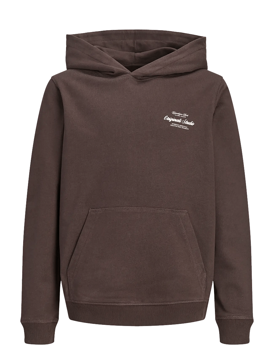 Jack & Jones - JORNORREBRO TYPO BACK SWEAT HOOD SN JNR - kapuzenpullover - java - 1