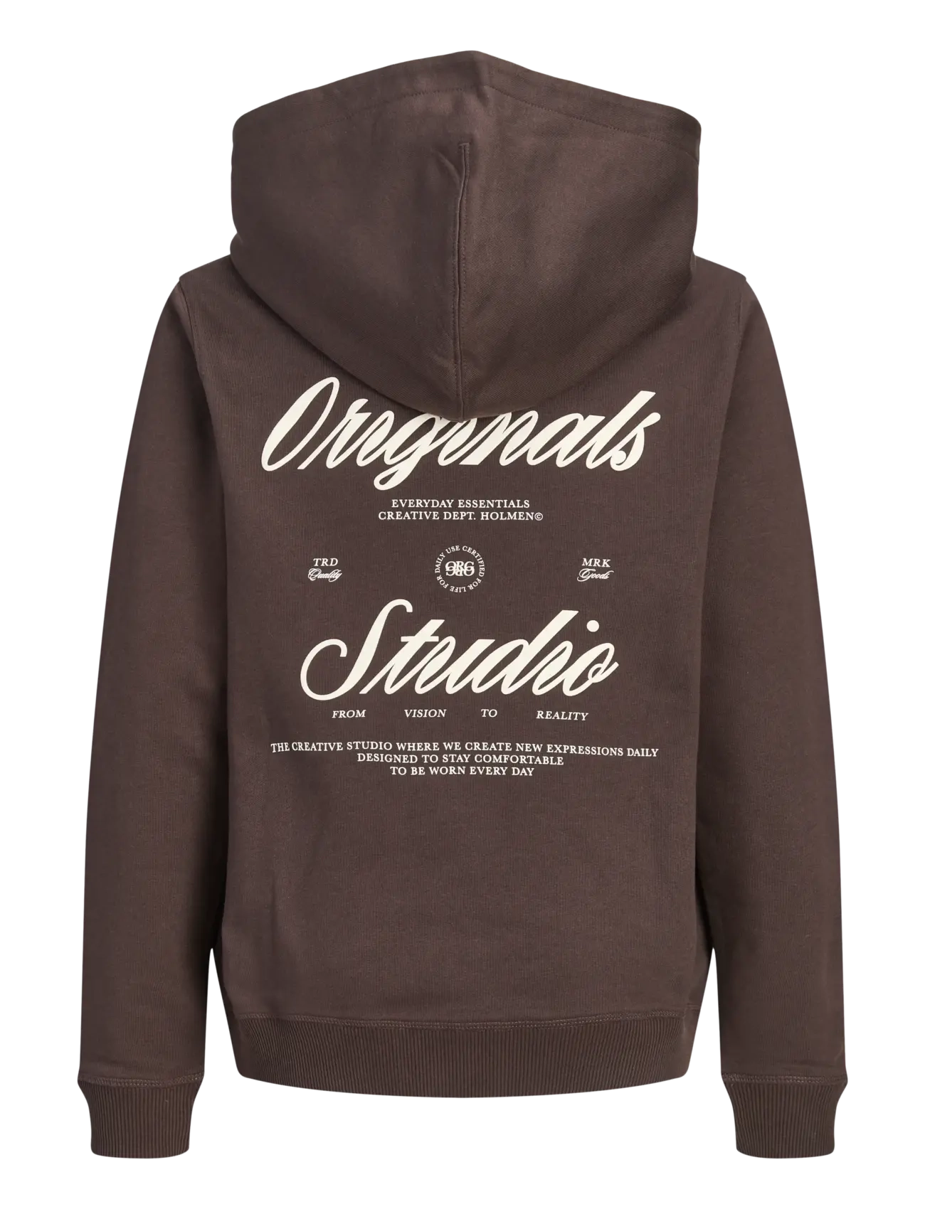 Jack & Jones - JORNORREBRO TYPO BACK SWEAT HOOD SN JNR - kapuzenpullover - java - 2