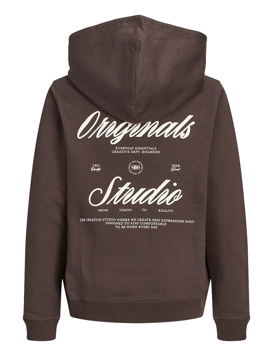 Jack & Jones - JORNORREBRO TYPO BACK SWEAT HOOD SN JNR - kapuzenpullover - java - 2