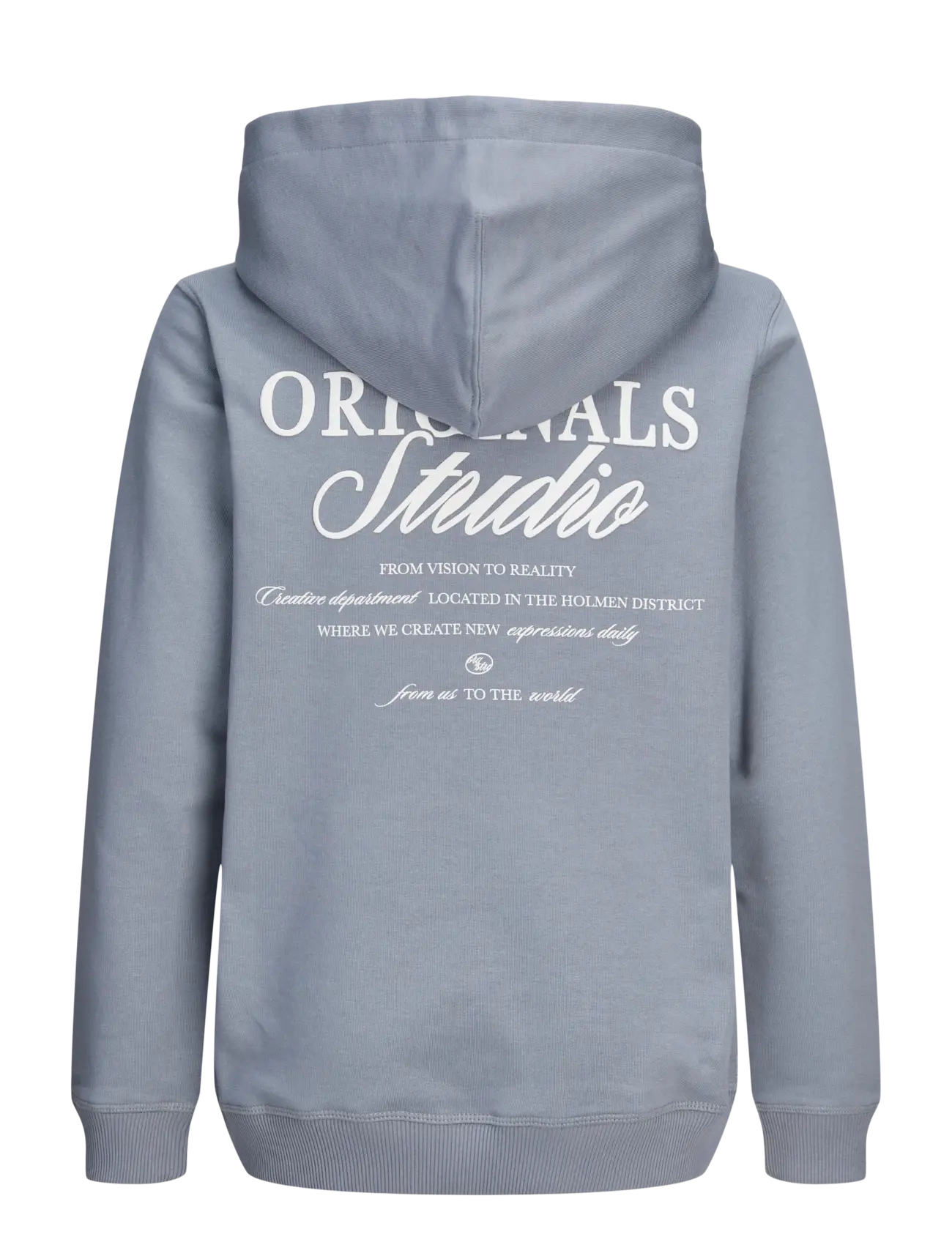 Jack & Jones - JORNORREBRO TYPO BACK SWEAT HOOD SN JNR - hættetrøjer - tradewinds - 2