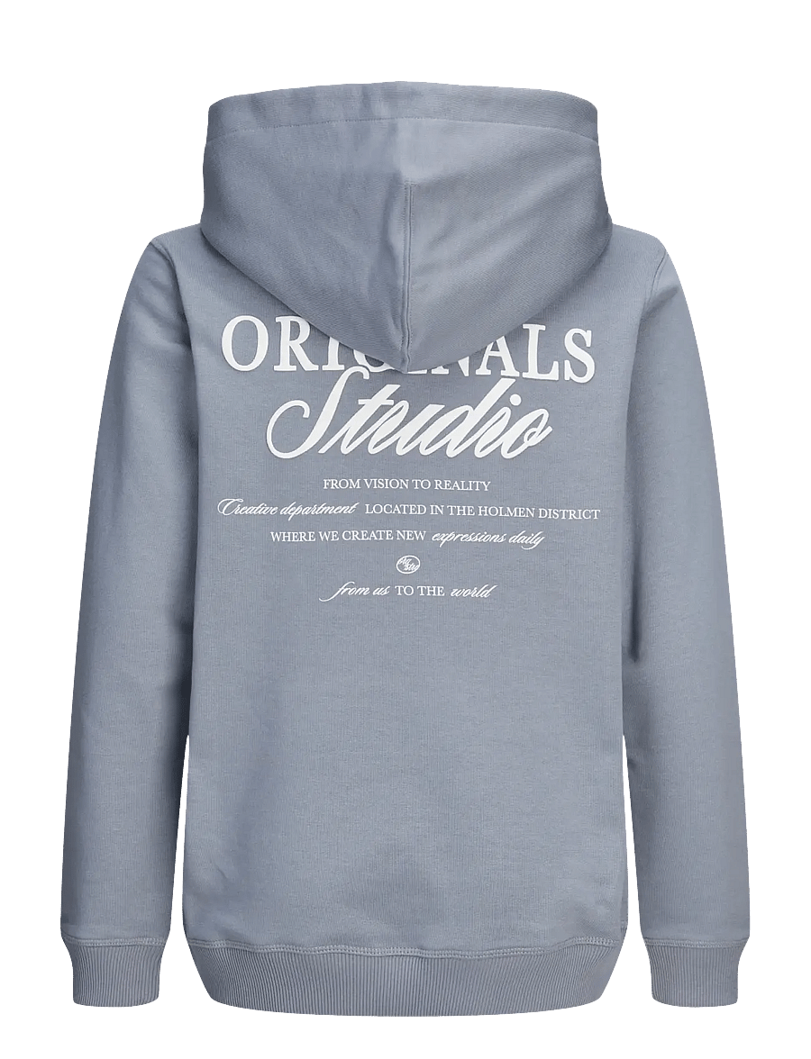 Jack & Jones - JORNORREBRO TYPO BACK SWEAT HOOD SN JNR - hættetrøjer - tradewinds - 2