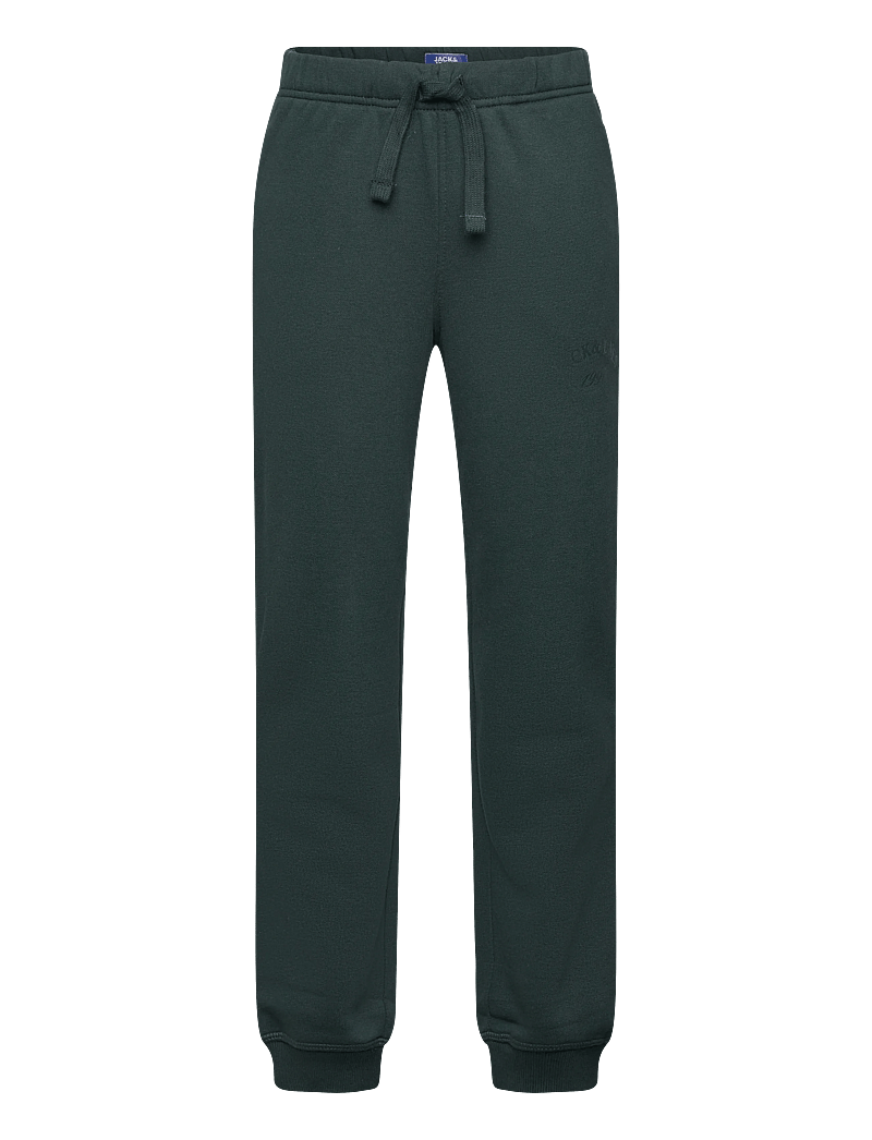 Jack & Jones - JPSTKANE BLEECKER SWEAT PANTS BF MNI - jogginghosen - forest river - 0
