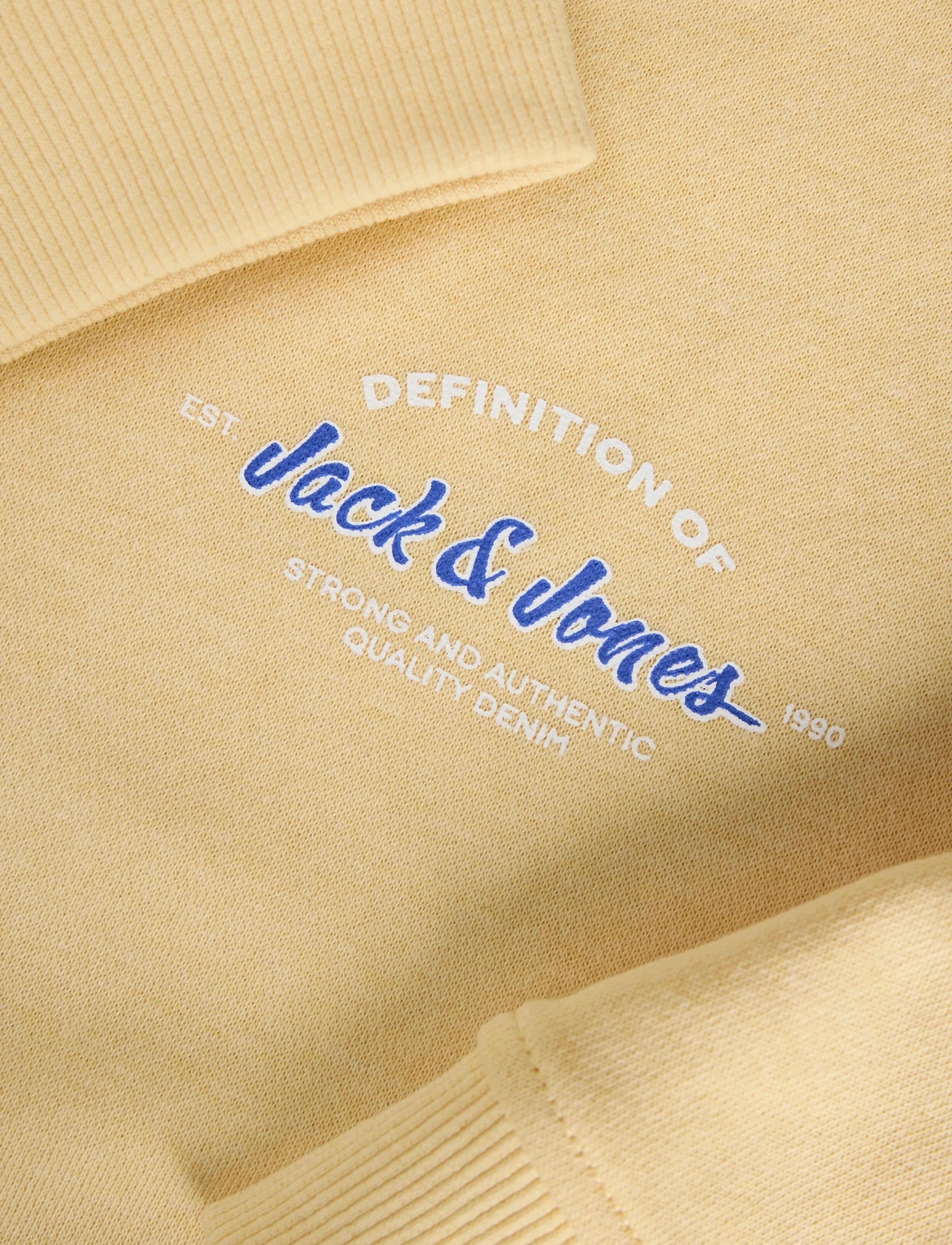 Jack & Jones - JJBRANDON SWEAT CREW NECK JNR - sweatshirts - sunlight - 2