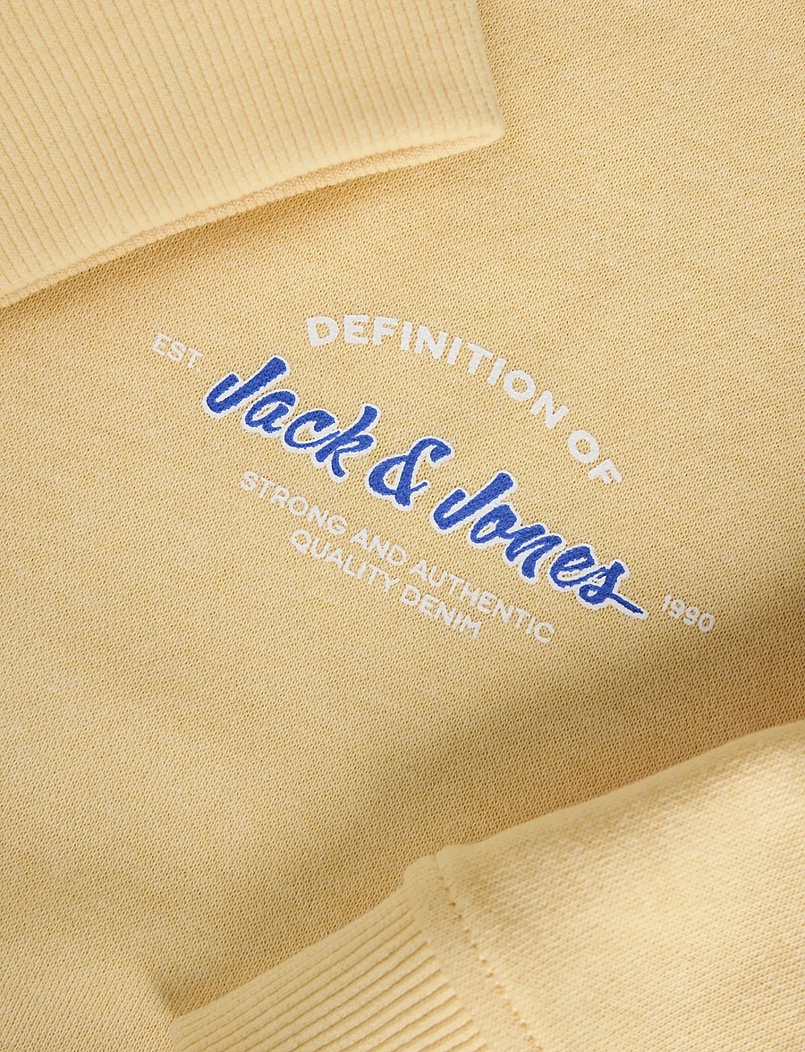 Jack & Jones - JJBRANDON SWEAT CREW NECK JNR - sweatshirts - sunlight - 2