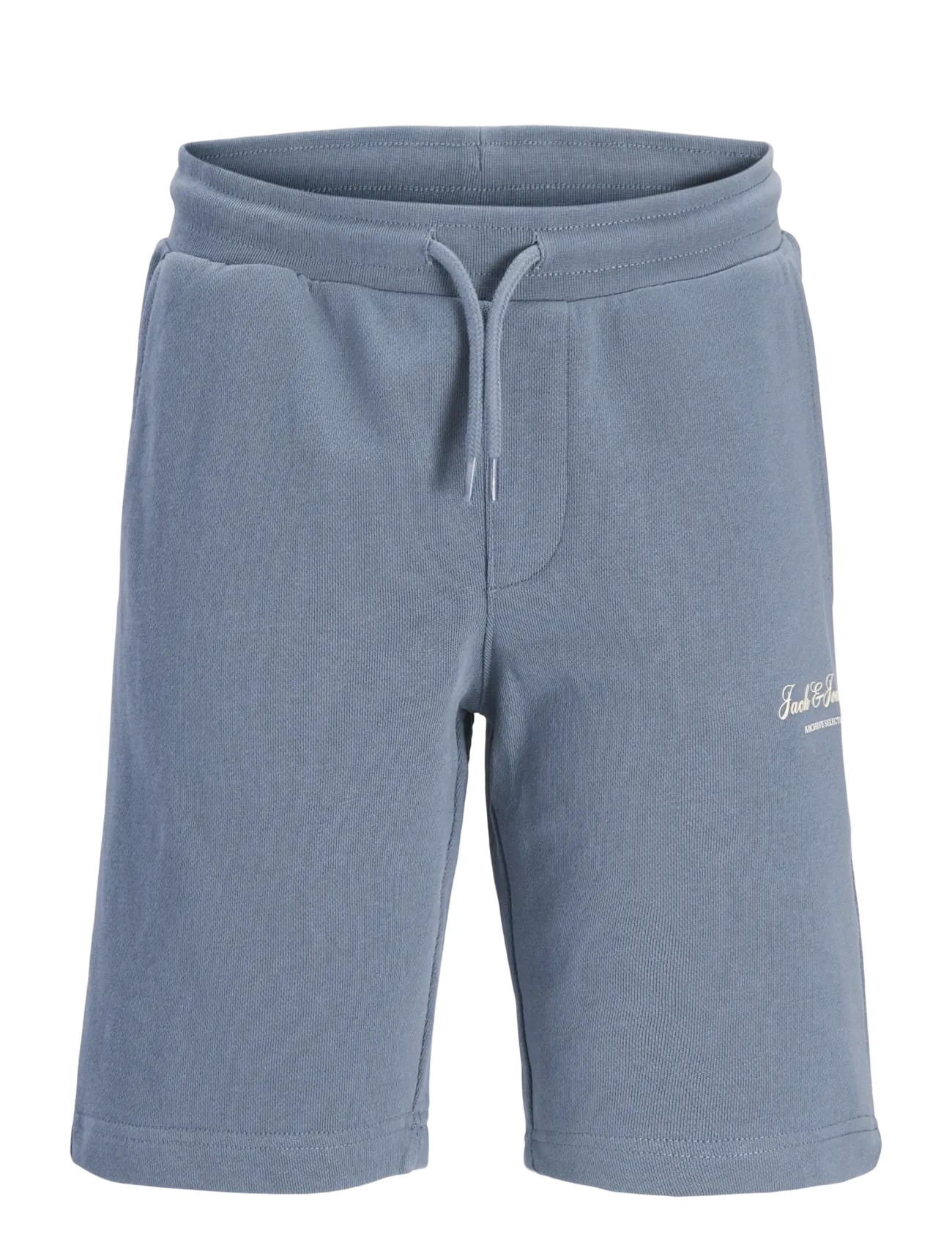 Jack & Jones JPSTGORDON ARCHIVE SWEAT SHORTS MID JNR - Underdele - BLUE MIRAGE / blue