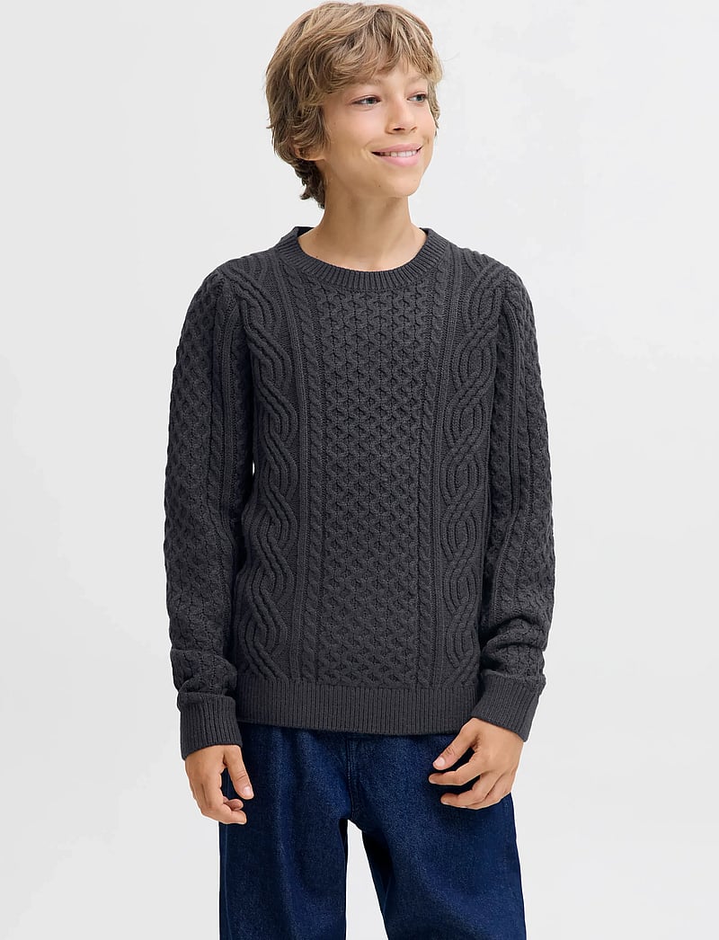 Jack & Jones - JPRBLUSEAN KNIT CABLE CREW NECK JNR - trøjer - dark navy - 0