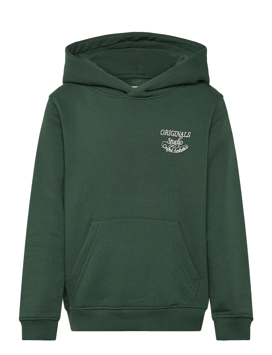 Jack & Jones - JORNIAGARA TYPO SWEAT HOOD JNR - kapuzenpullover - sycamore - 0