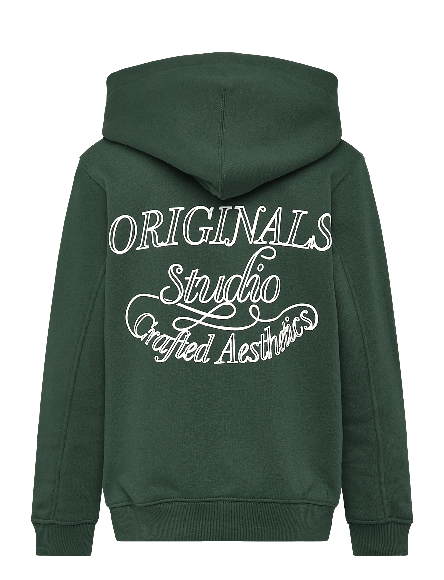 Jack & Jones - JORNIAGARA TYPO SWEAT HOOD JNR - kapuzenpullover - sycamore - 1