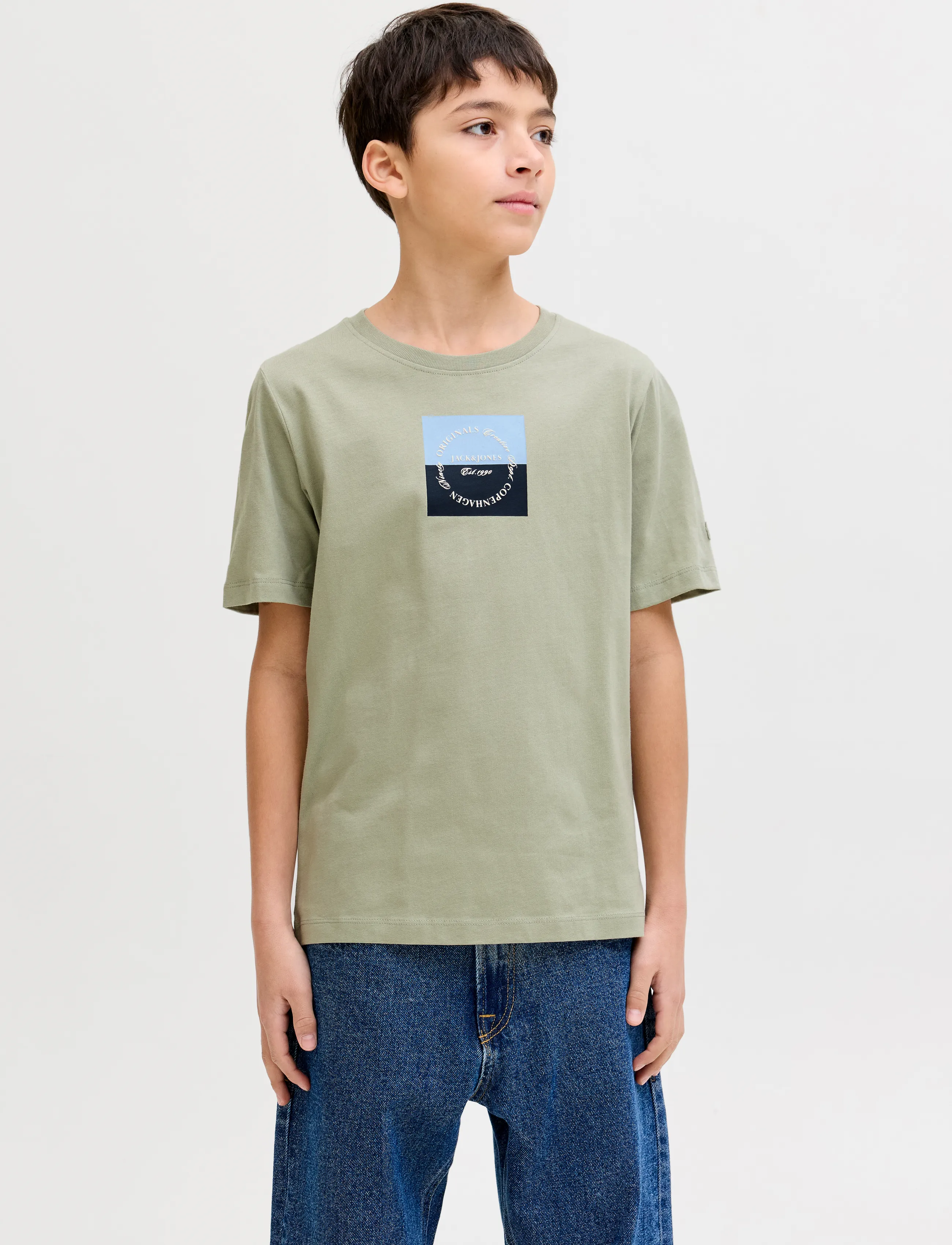 Jack & Jones JORCATSKILLS SQUARE BRAND TEE SS SN JNR - Short-sleeved t-shirts - SEAGRASS / khaki/green