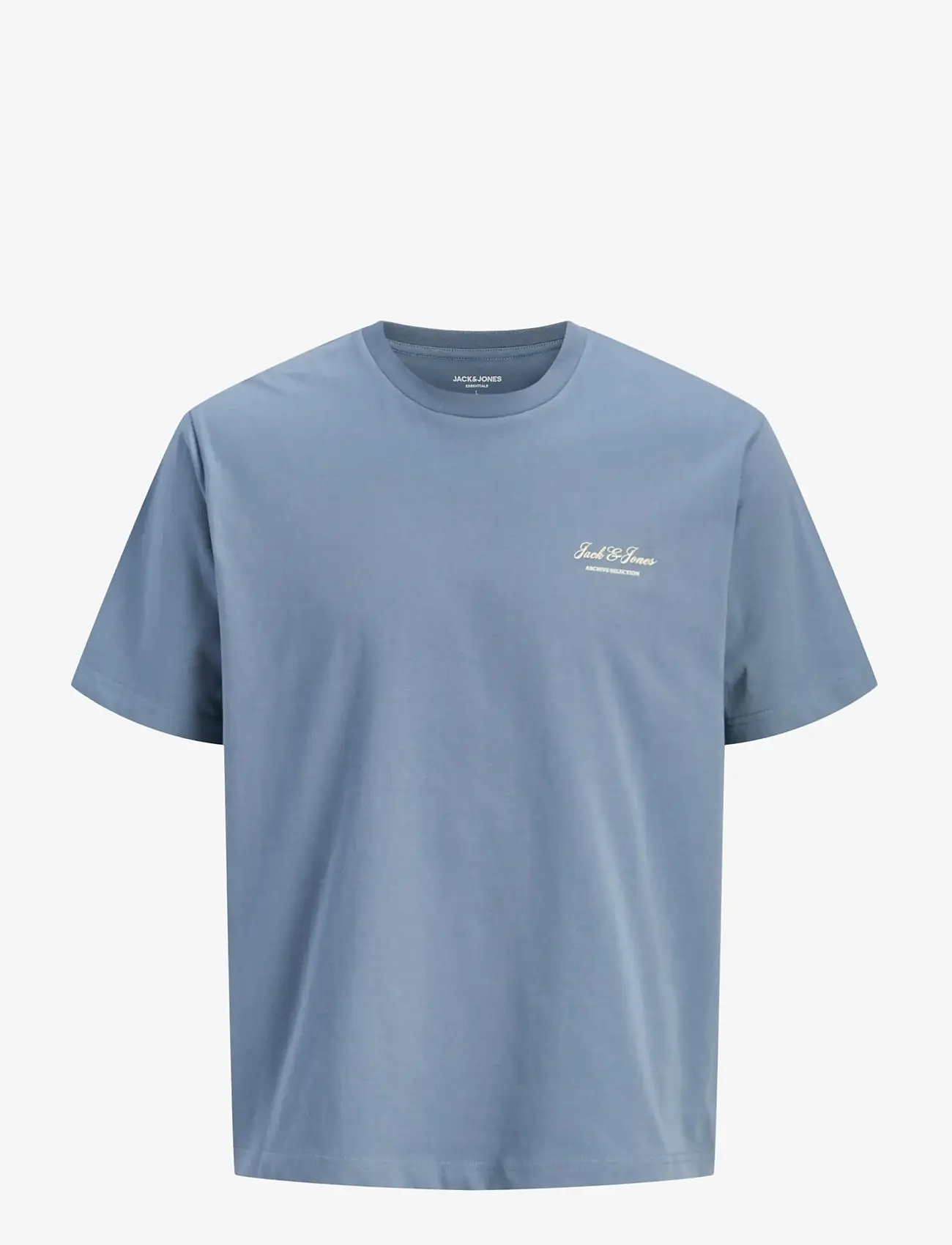 Jack & Jones - JJEARCHIVE GRAPHIC TEE SS ONECK NOOS JNR - kortærmede t-shirts - blue mirage - 1