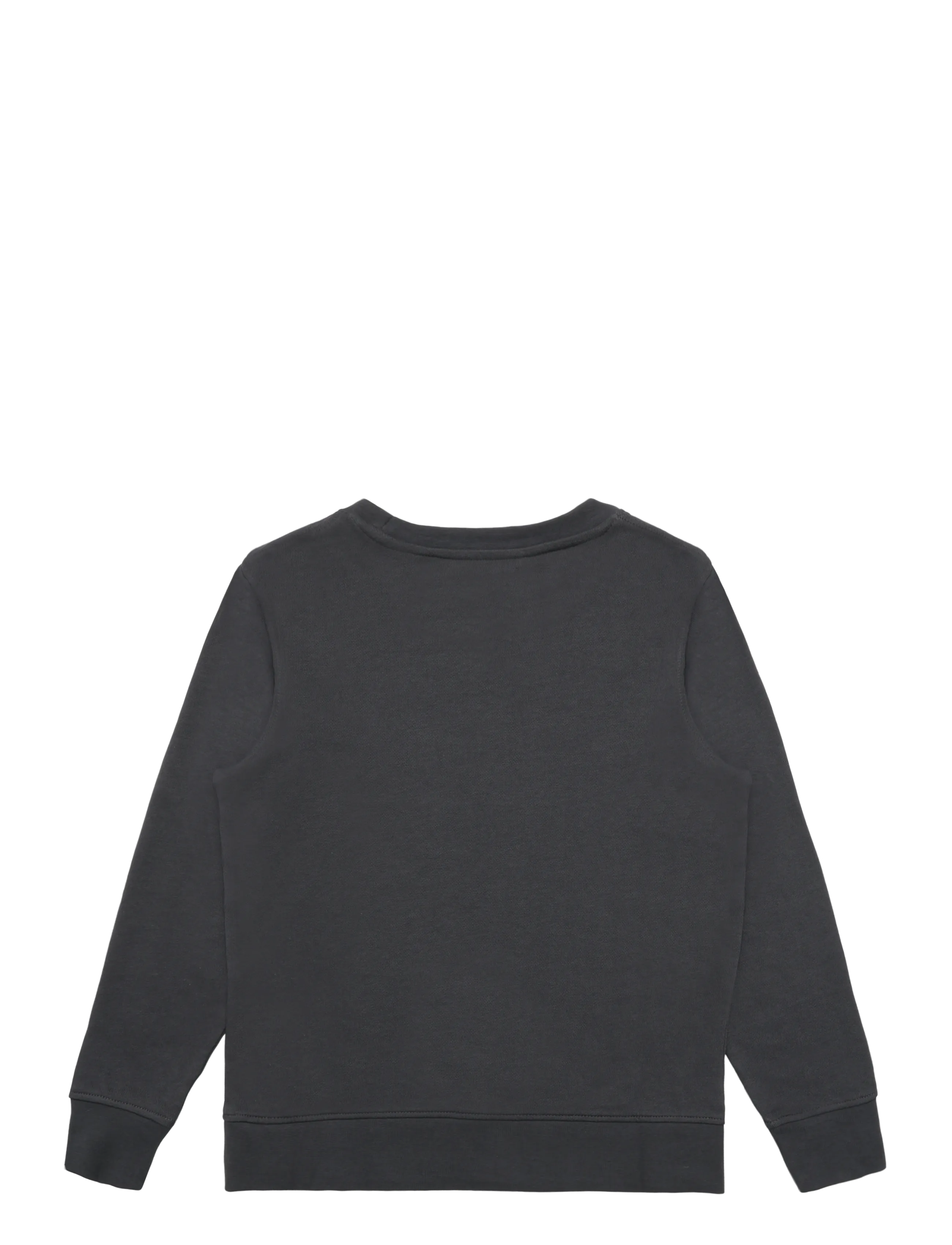 Jack & Jones - JJEARCHIVE GRAPHIC SWEAT CN SN JNR - sweatshirts - asphalt - 2