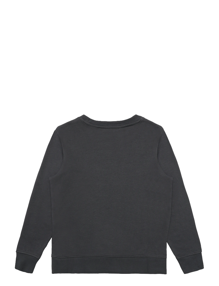 Jack & Jones - JJEARCHIVE GRAPHIC SWEAT CN SN JNR - sweatshirts - asphalt - 2