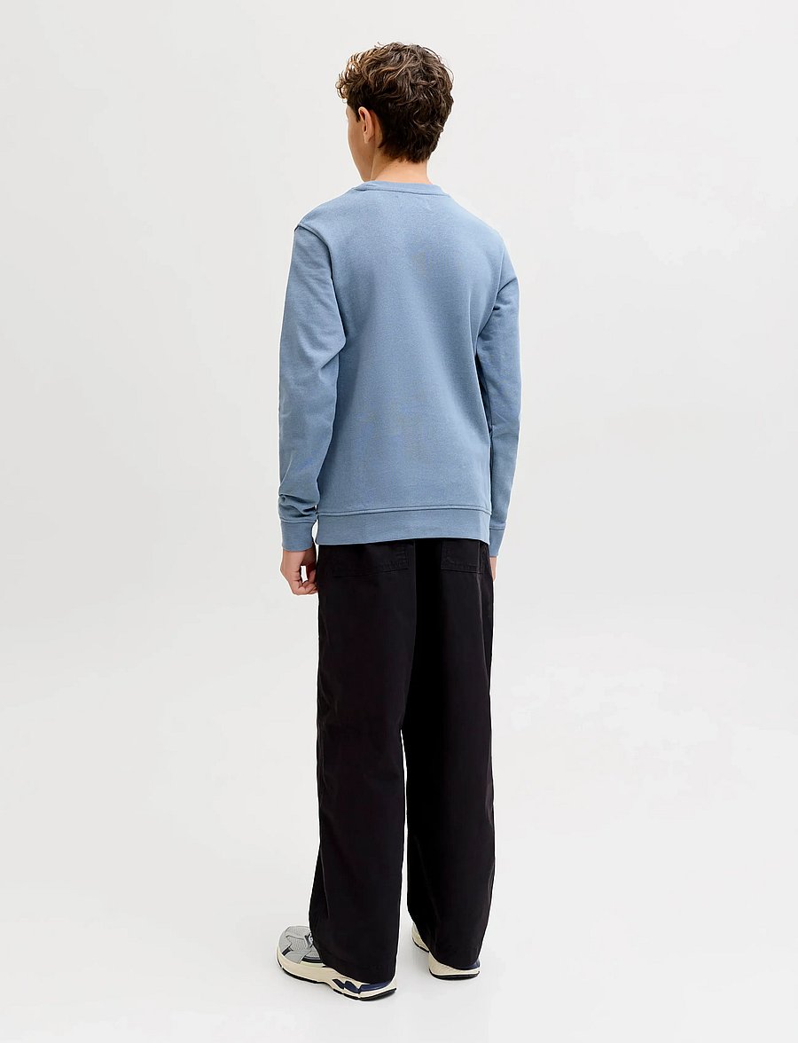 Jack & Jones - JJEARCHIVE GRAPHIC SWEAT CN SN JNR - sweatshirts - blue mirage - 2