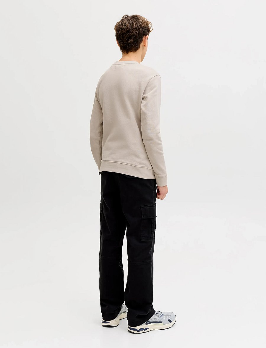 Jack & Jones - JJEARCHIVE GRAPHIC SWEAT CN SN JNR - sweatshirts - moonbeam - 2