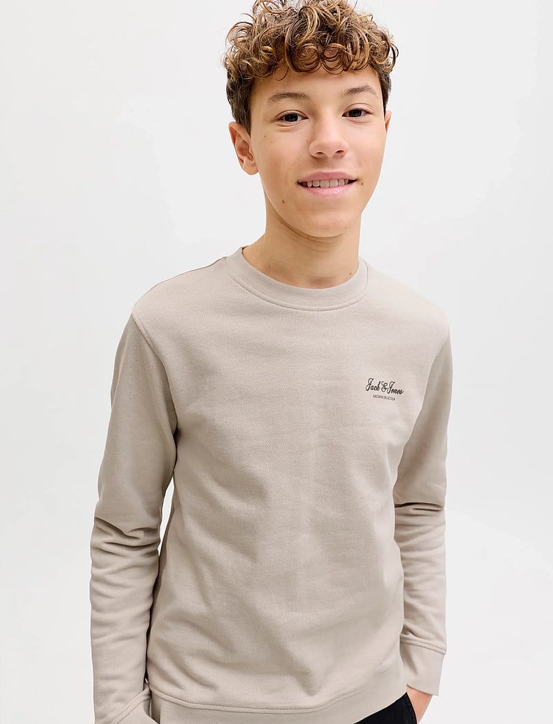 Jack & Jones - JJEARCHIVE GRAPHIC SWEAT CN SN JNR - sweatshirts - moonbeam - 5