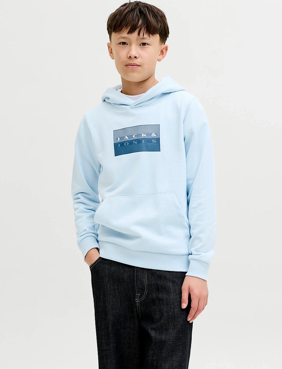 Jack & Jones - JCOFUSION GRAPHIC SWEAT HOOD UNB SN JNR - kapuzenpullover - omphalodes - 0