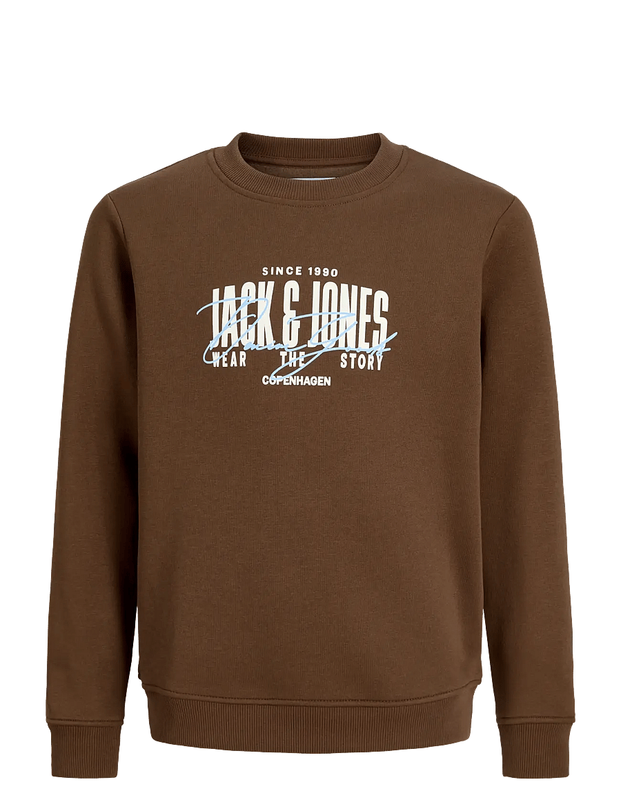 Jack & Jones - JJAERO SWEAT CREW NECK JNR - sweatshirts - cocoa - 1