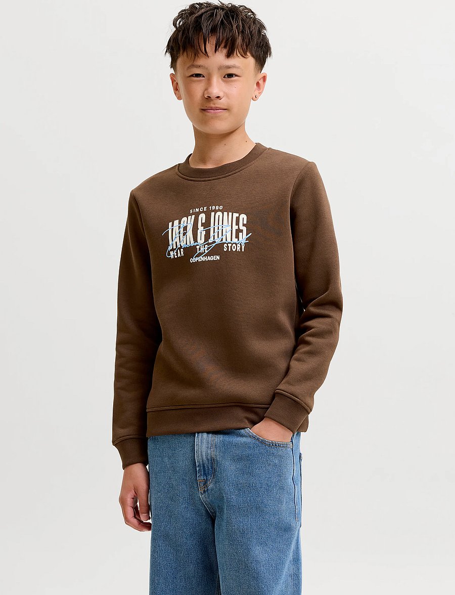 Jack & Jones - JJAERO SWEAT CREW NECK JNR - sweatshirts - cocoa - 0