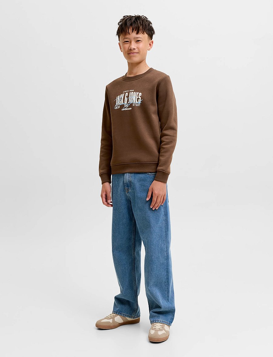 Jack & Jones - JJAERO SWEAT CREW NECK JNR - sweatshirts - cocoa - 4