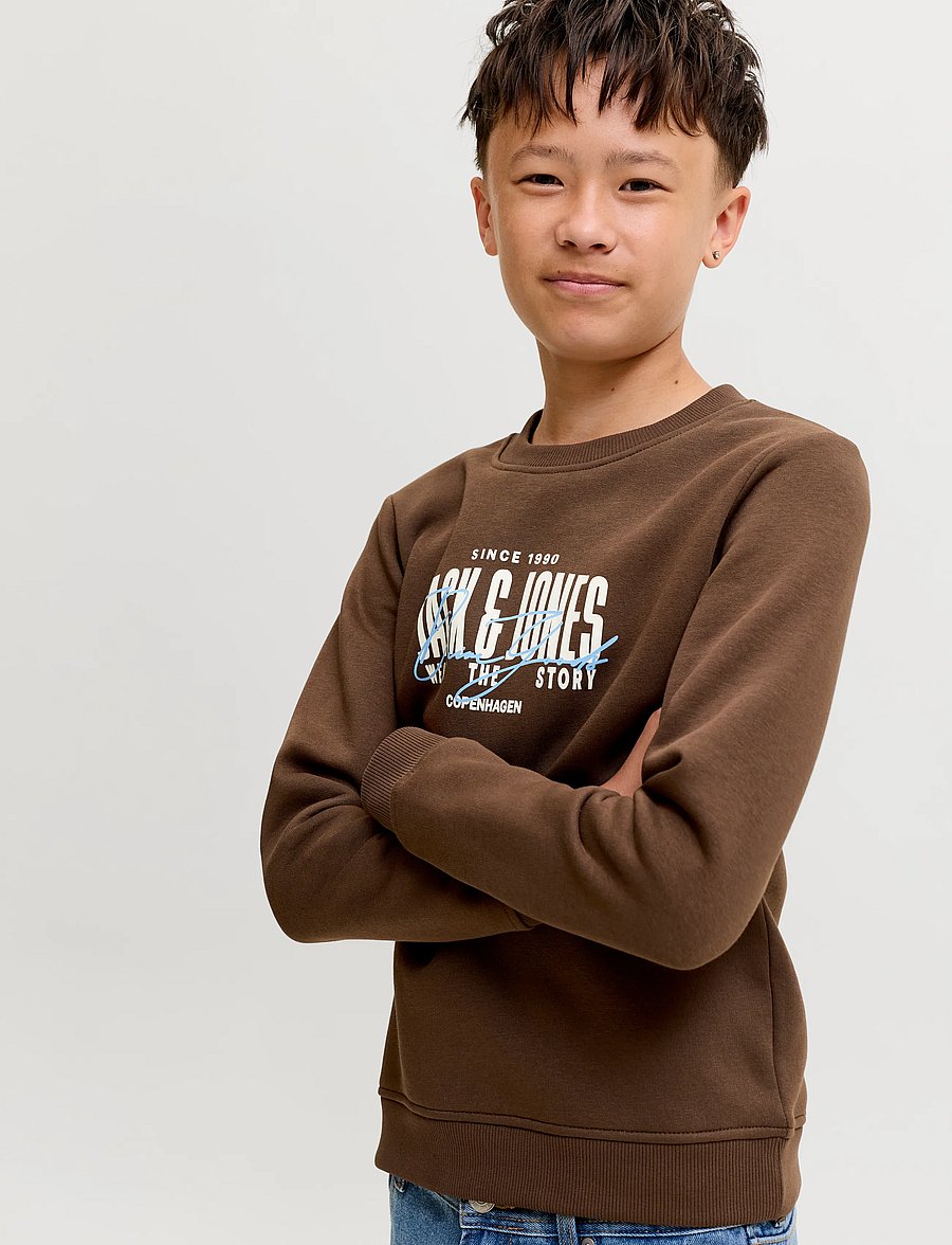 Jack & Jones - JJAERO SWEAT CREW NECK JNR - sweatshirts - cocoa - 5