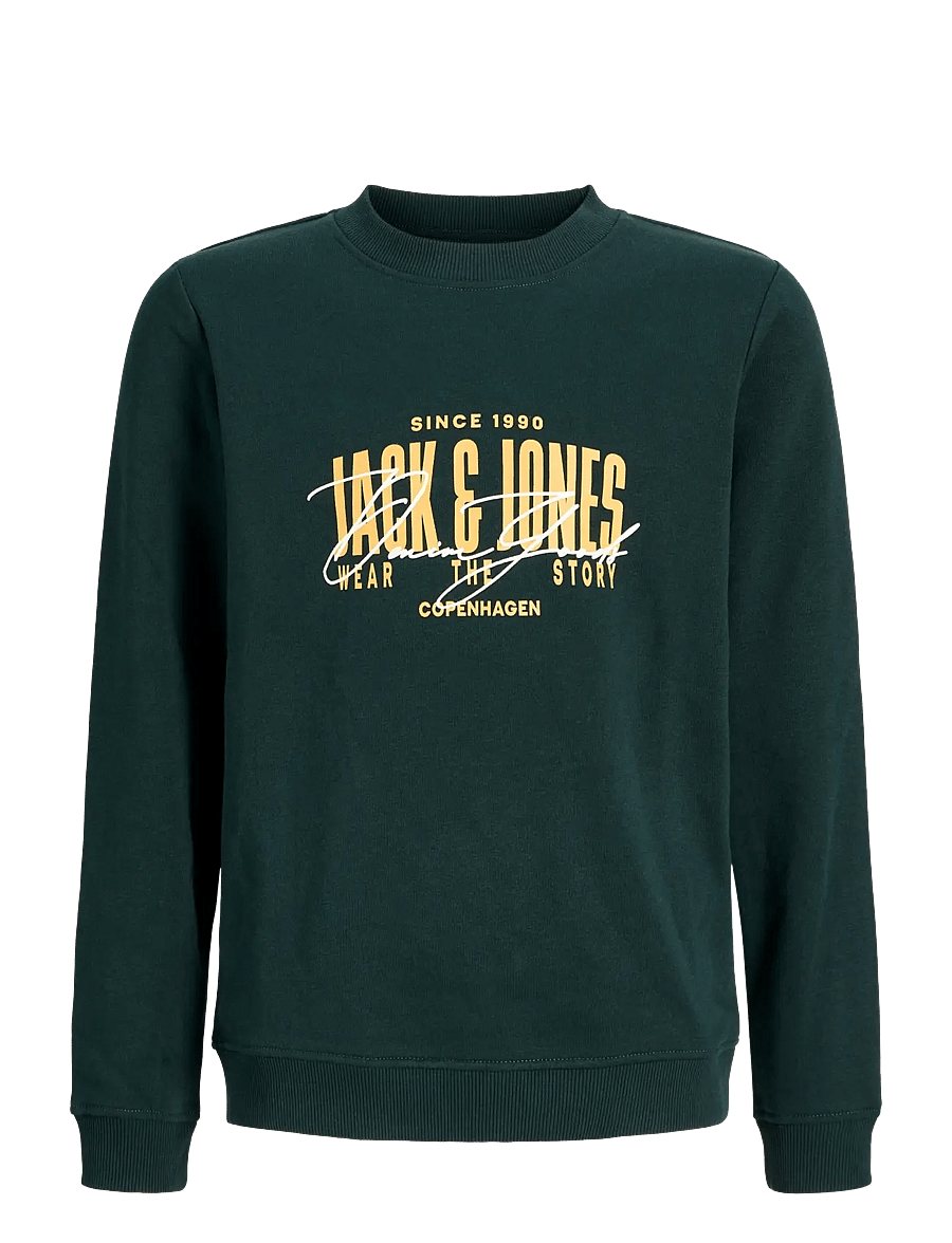 Jack & Jones - JJAERO SWEAT CREW NECK JNR - scarab - 1