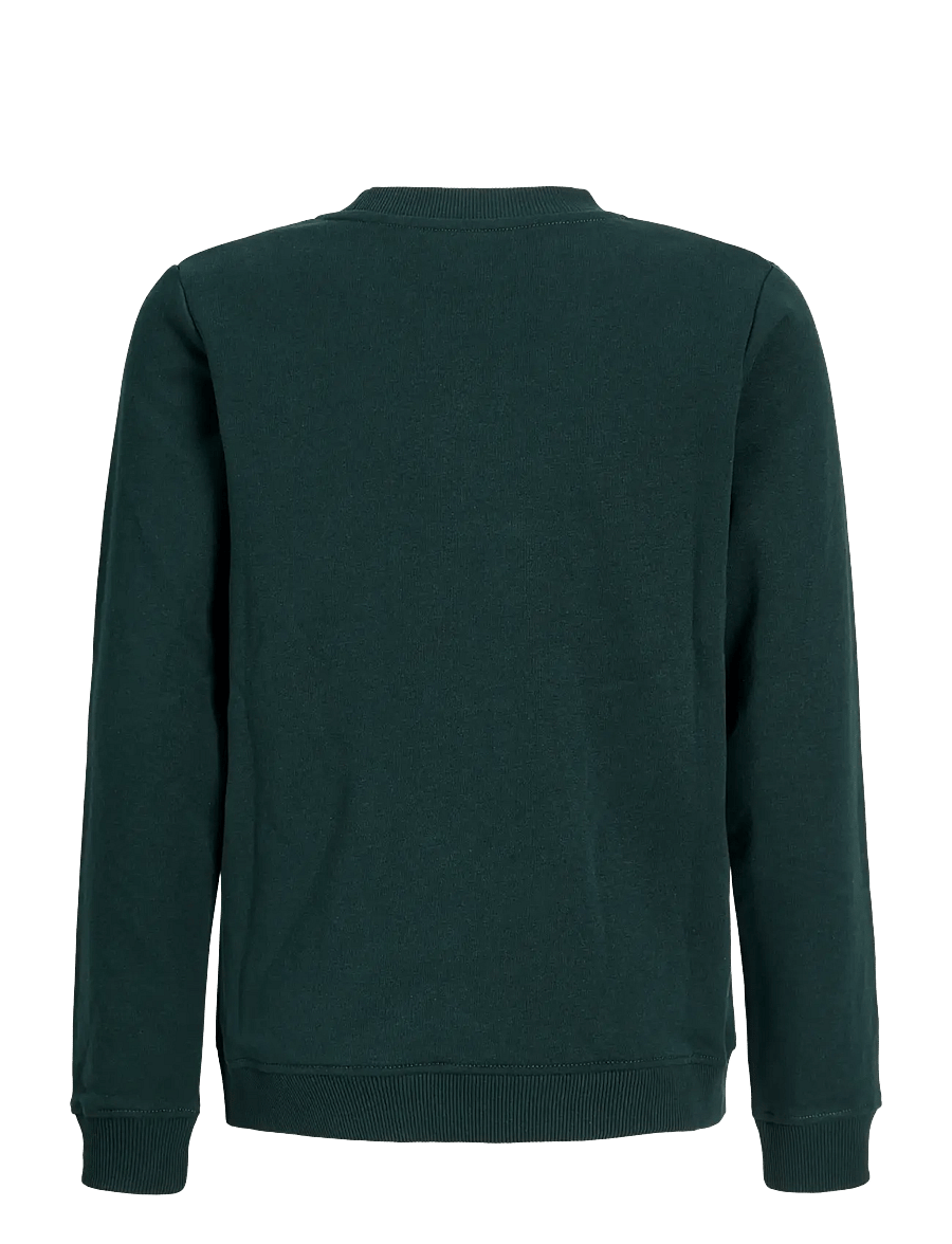 Jack & Jones - JJAERO SWEAT CREW NECK JNR - scarab - 2