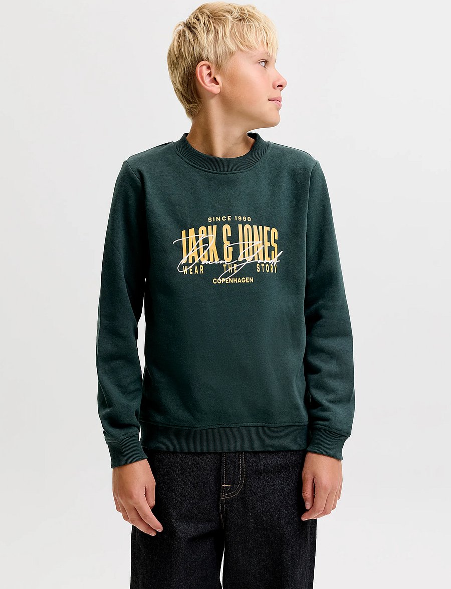 Jack & Jones - JJAERO SWEAT CREW NECK JNR - scarab - 0